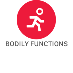 Icoon van Bodily functions